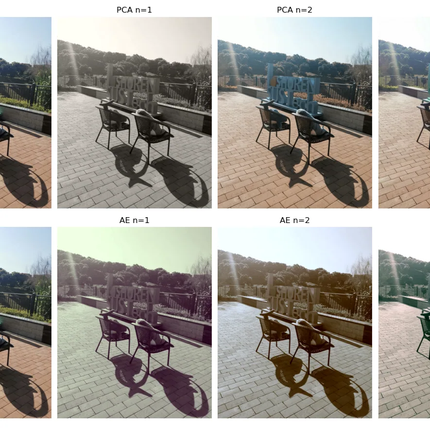 PCA and autoencoder dimensionality-reduction results